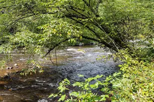 28 Caddis Ct, Marshall, NC 28753 - Photo 25