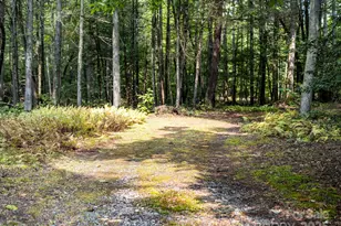 28 Caddis Ct, Marshall, NC 28753 - Photo 35