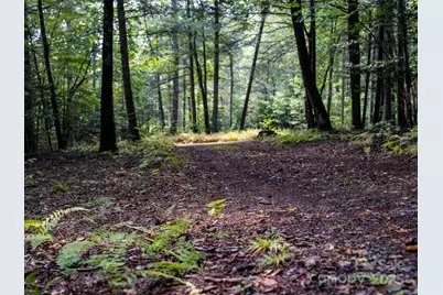 28 Caddis Court, Marshall, NC 28753 - Photo 33