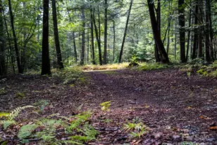 28 Caddis Ct, Marshall, NC 28753 - Photo 33