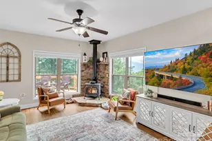 4823 Max Patch Rd, Clyde, NC 28721 - Photo 13