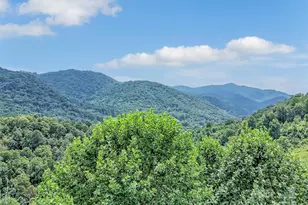 4823 Max Patch Rd, Clyde, NC 28721 - Photo 47