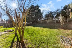 17240 Georgian Hall Dr, Charlotte, NC 28277 - Photo 39