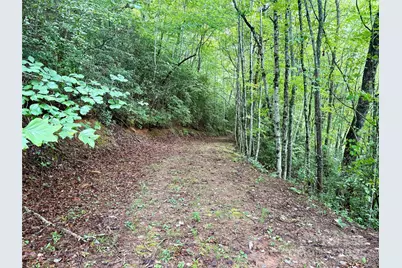 0 Chickadee Drive #51, Bryson City, NC 28713 - Photo 5