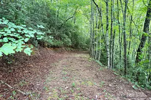 0 Chickadee Dr, Bryson City, NC 28713 - Photo 5