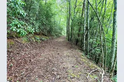 0 Chickadee Drive #51, Bryson City, NC 28713 - Photo 7