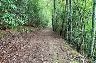 0 Chickadee Dr, Bryson City, NC 28713 - Photo 7