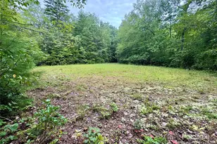 0 Chickadee Dr, Bryson City, NC 28713 - Photo 3