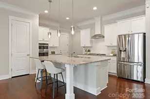 676 Kenway Loop, Mooresville, NC 28117 - Photo 3