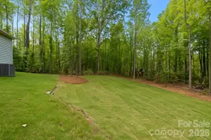 11125 Dappled Lgt Trl, Mint Hill, NC 28227 - Photo 33