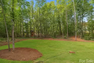 11125 Dappled Lgt Trl, Mint Hill, NC 28227 - Photo 33