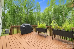 11125 Dappled Lgt Trl, Mint Hill, NC 28227 - Photo 27