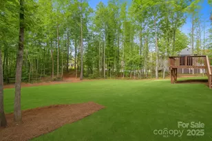 11125 Dappled Lgt Trl, Mint Hill, NC 28227 - Photo 31