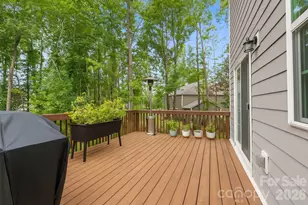 11125 Dappled Lgt Trl, Mint Hill, NC 28227 - Photo 29