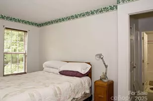 165 Peepeye Cove Rd, Leicester, NC 28748 - Photo 7