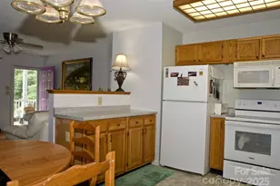 165 Peepeye Cove Rd, Leicester, NC 28748 - Photo 11