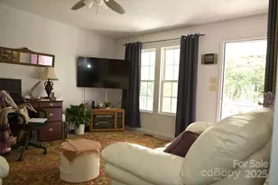 165 Peepeye Cove Rd, Leicester, NC 28748 - Photo 17