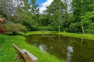 34 Kadie Ln, Topton, NC 28781 - Photo 41