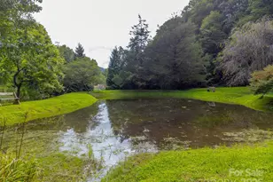 34 Kadie Ln, Topton, NC 28781 - Photo 43