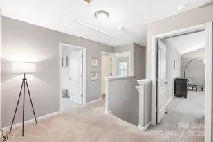 8207 Paw Valley Ln, Charlotte, NC 28214 - Photo 23