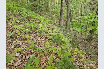 99999 Majestic Trace #25, Hendersonville, NC 28739 - Photo 21