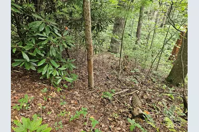 99999 Majestic Trace #25, Hendersonville, NC 28739 - Photo 29