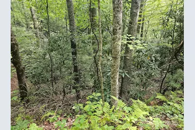 99999 Majestic Trace #25, Hendersonville, NC 28739 - Photo 3