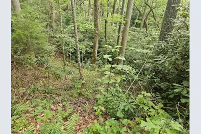 99999 Majestic Trace #25, Hendersonville, NC 28739 - Photo 35