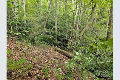 99999 Majestic Trace #25, Hendersonville, NC 28739 - Photo 15