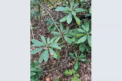 99999 Majestic Trace #25, Hendersonville, NC 28739 - Photo 31