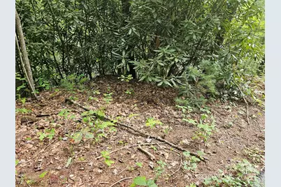 99999 Majestic Trace #25, Hendersonville, NC 28739 - Photo 25