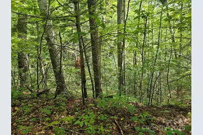 99999 Majestic Trace #25, Hendersonville, NC 28739 - Photo 41