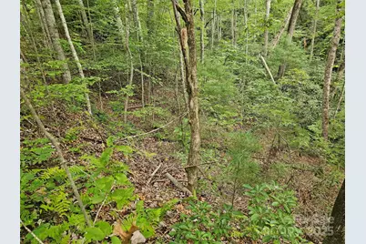 99999 Majestic Trace #25, Hendersonville, NC 28739 - Photo 11