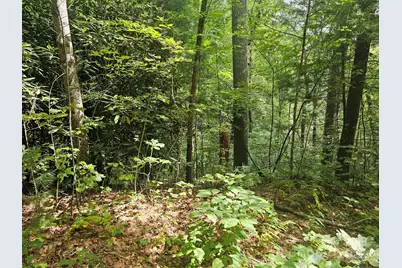 99999 Majestic Trace #25, Hendersonville, NC 28739 - Photo 37