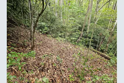 99999 Majestic Trace #25, Hendersonville, NC 28739 - Photo 5