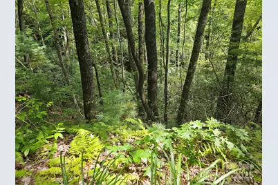 99999 Majestic Trace #25, Hendersonville, NC 28739 - Photo 27