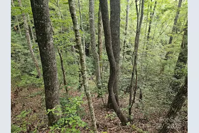 99999 Majestic Trace #25, Hendersonville, NC 28739 - Photo 13