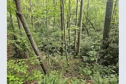 99999 Majestic Trace #25, Hendersonville, NC 28739 - Photo 9