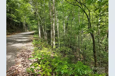 99999 Majestic Trace #25, Hendersonville, NC 28739 - Photo 19