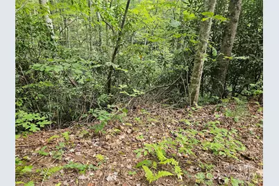 99999 Majestic Trace #25, Hendersonville, NC 28739 - Photo 7