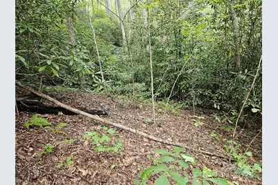 99999 Majestic Trace #25, Hendersonville, NC 28739 - Photo 33