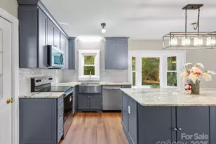 3 Crabapple Ln, Candler, NC 28715 - Photo 11