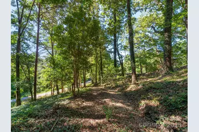 3 Crabapple Lane, Candler, NC 28715 - Photo 5