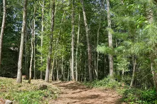 11 Tahchee Trail, Fletcher, NC 28732 - Photo 41