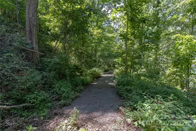 52 Castanea Mountain Drive, Asheville, NC 28803 - Photo 7