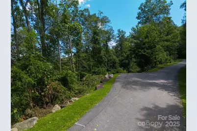 52 Castanea Mountain Drive, Asheville, NC 28803 - Photo 5