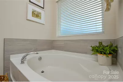 15609 Little Bluestem Street, Charlotte, NC 28278 - Photo 33