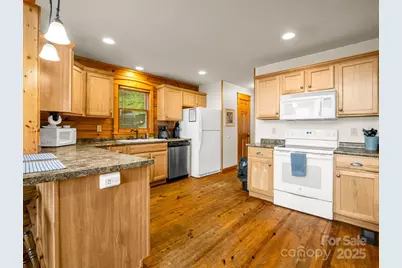 161 Scenic Wolf Drive, Mars Hill, NC 28754 - Photo 5