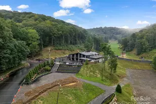 161 Scenic Wolf Dr, Mars Hill, NC 28754 - Photo 31