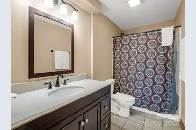 161 Scenic Wolf Drive, Mars Hill, NC 28754 - Photo 25